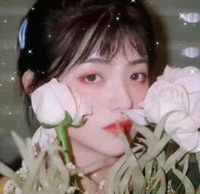 我的表兄维尼
