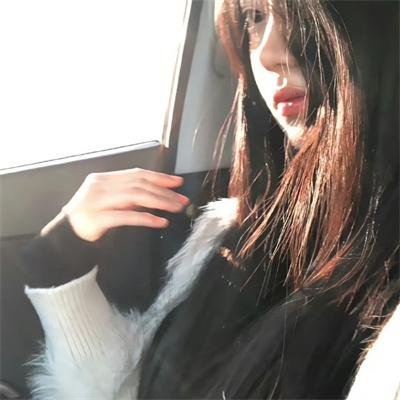鸟儿们的奇幻冒险